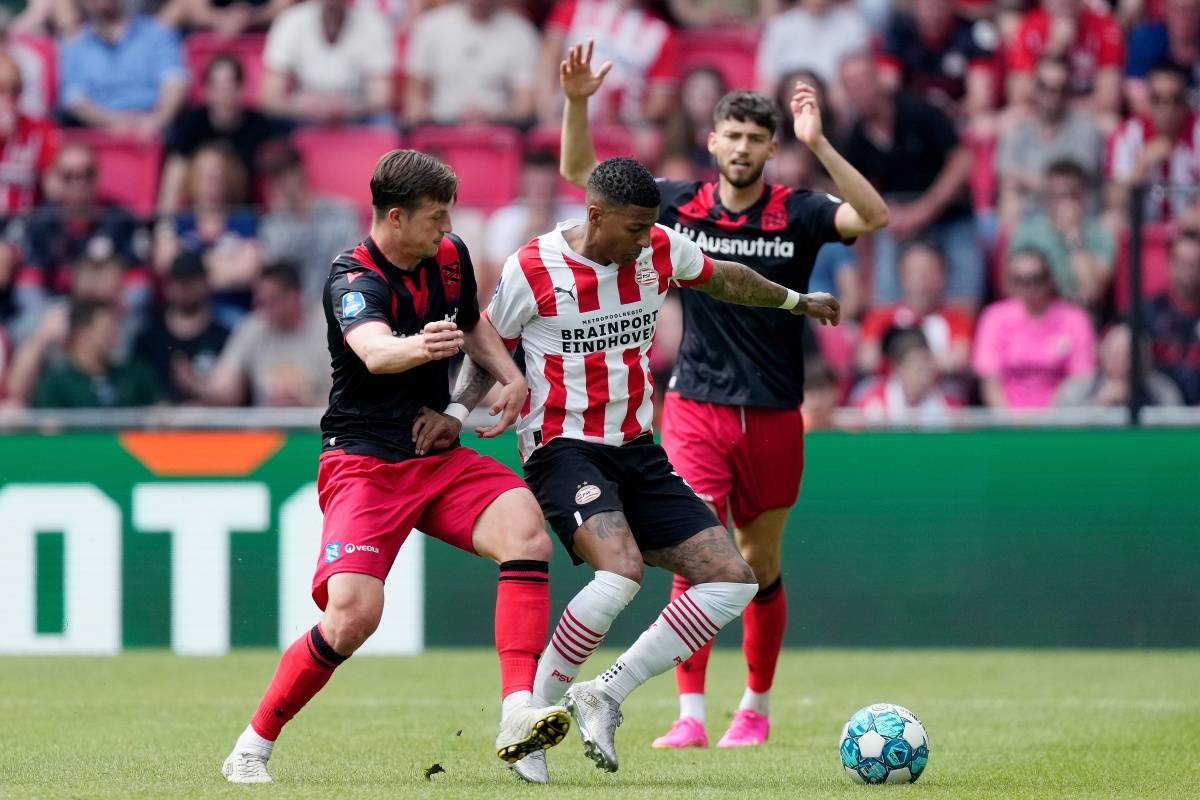 無論是球迷 無論是球迷